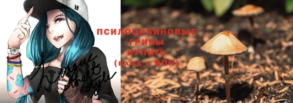 эйфоретик Магадан