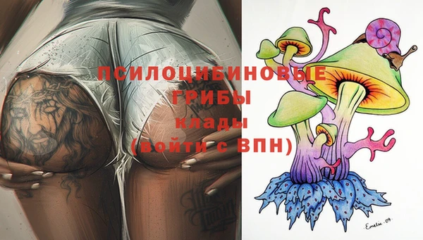 прущие крисы Пестово
