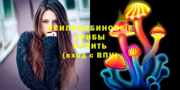 соль ск Лиски