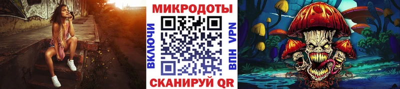 наркота  Ржев  Галлюциногенные грибы Psilocybine cubensis 