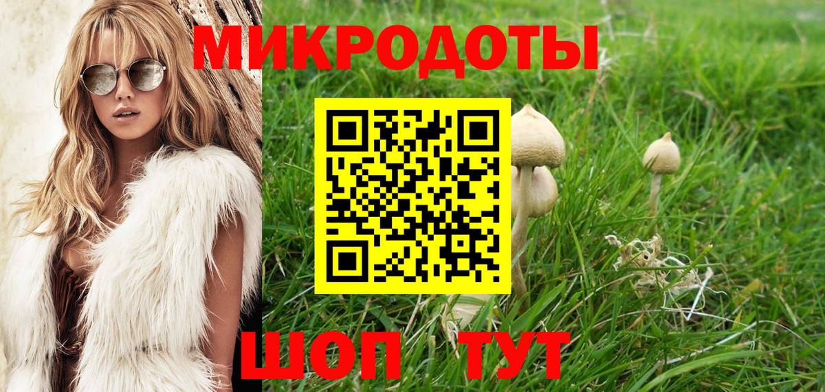 Псилоцибиновые грибы прущие грибы  Вход с VPN  Ржев 