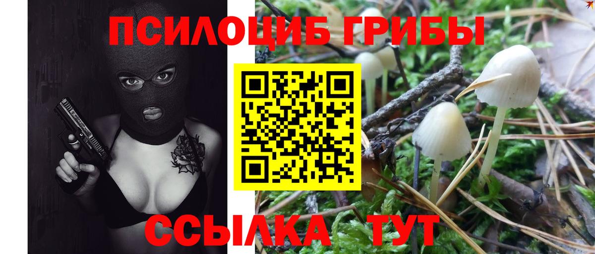 Псилоцибиновые грибы Magic Shrooms Ржев
