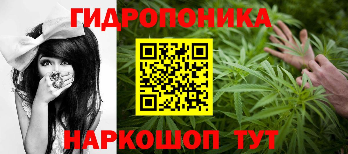 Канабис MAZAR  Конопля план  Каннабис AK-47  Шишки марихуана план  Ржев  Вход с VPN 